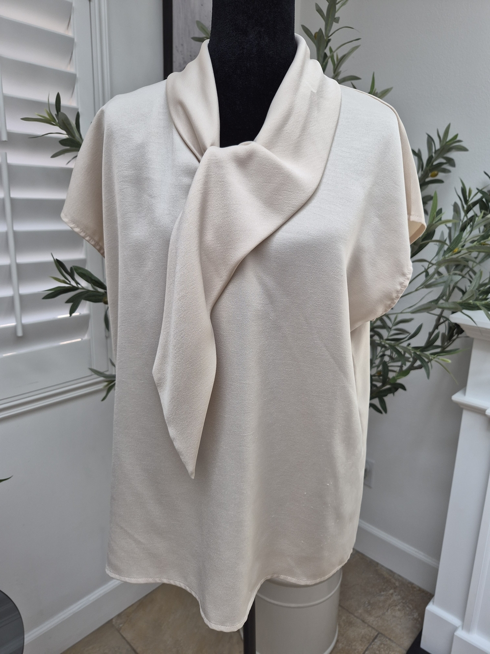 NWOT Cream Tie-Neck Blouse